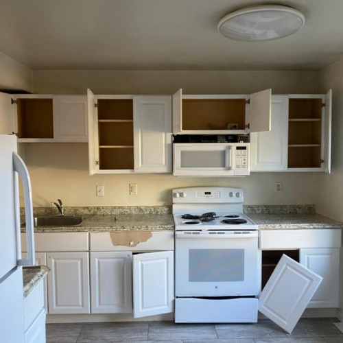 Our Gallery